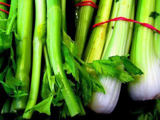 Les Friandises 50089622-celeri-celery-sedano-selderij-selleri-sellerie