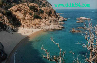  صور من شواطئ سكيكدة Skikda_3