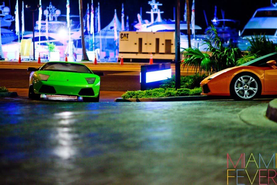 Lamborghini - Page 6 022409bymiamifever020