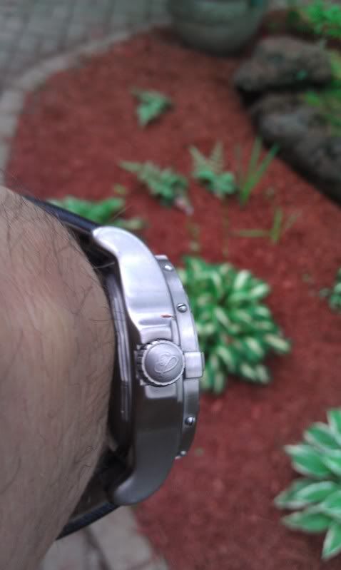 Watch-U-Wearing 3/24/2012 IMAG0328