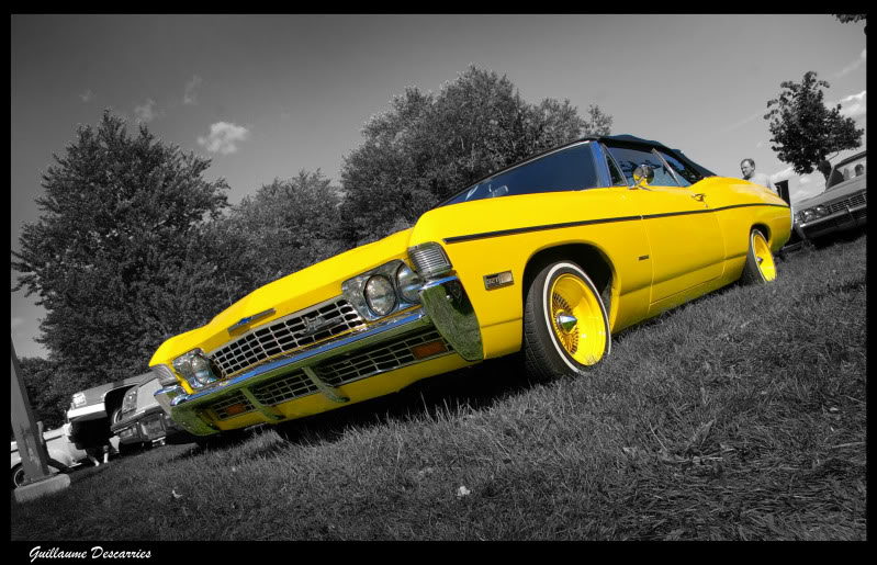 3EME BBQ ANNUEL DU CLUB DE LOWRIDER LUXURIOUS MONTREAL - Page 5 Yellow