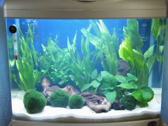 60 ltr freshwater tank 2009_11070003