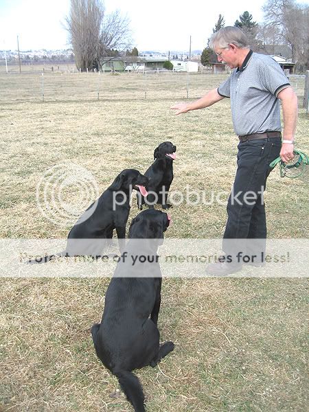 Animals/Pets! Situnison