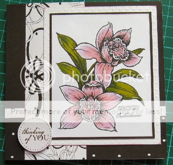 Sympathy card Orchid