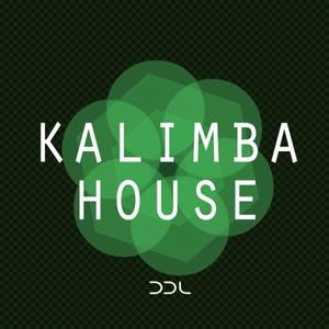 Deep Data Loops Kalimba House MULTiFORMAT 8faf95eb8069508190f3c2e33a739cb2