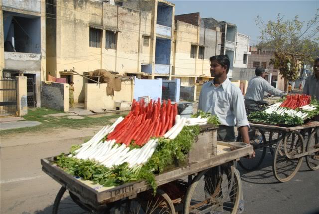 Delhi ký - Hữu Hối IND_0085