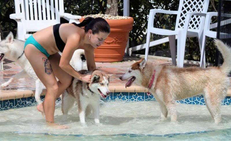 Husky Pool Party South FL Style!  1375118_10151858605745971_347727971_n_zps6b488a76