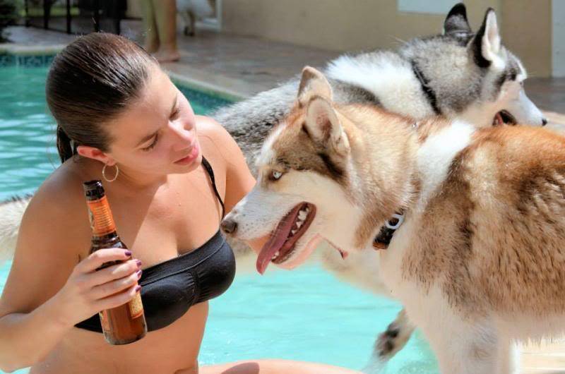 pool - Husky Pool Party South FL Style!  537953_10151858604390971_282204204_n_zps84d2126c