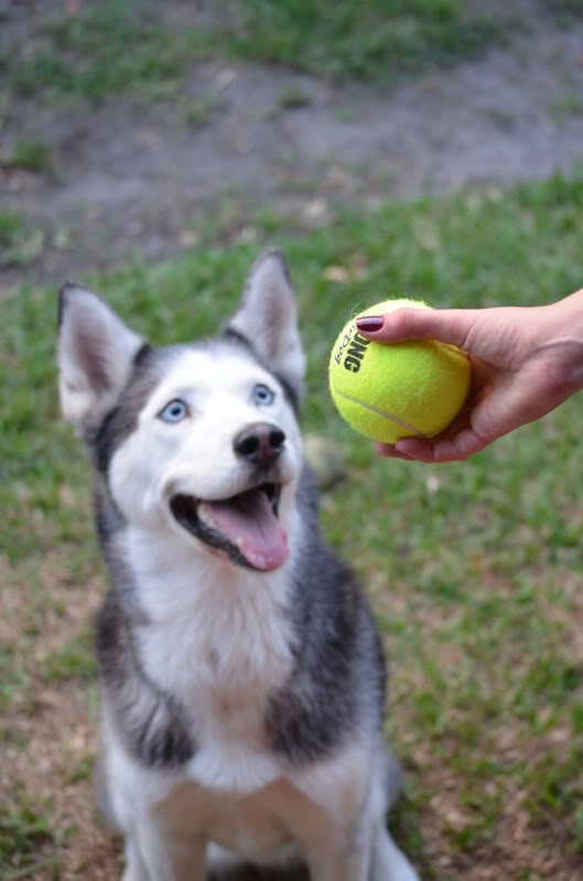 Happy early 6th Birthday Mya!! DSC_0870