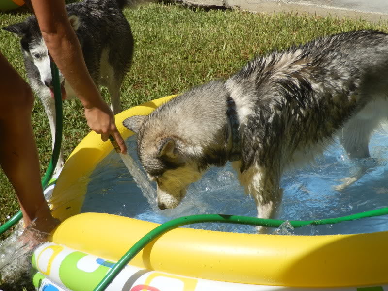 Mya, Kody, & Asia's Pix- DROP CAM FUN! * and ANOTHER ONE* - Page 3 P7160404