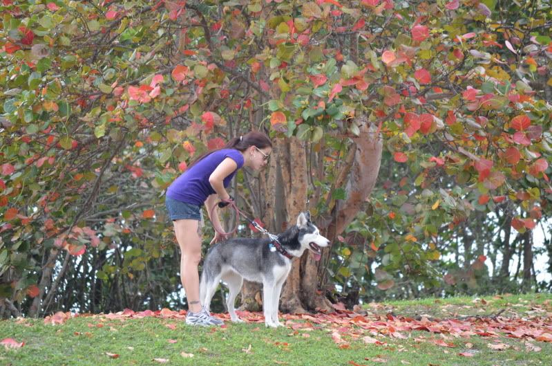 SFL Snowdogs Miami March Meet Up! DSC_0727