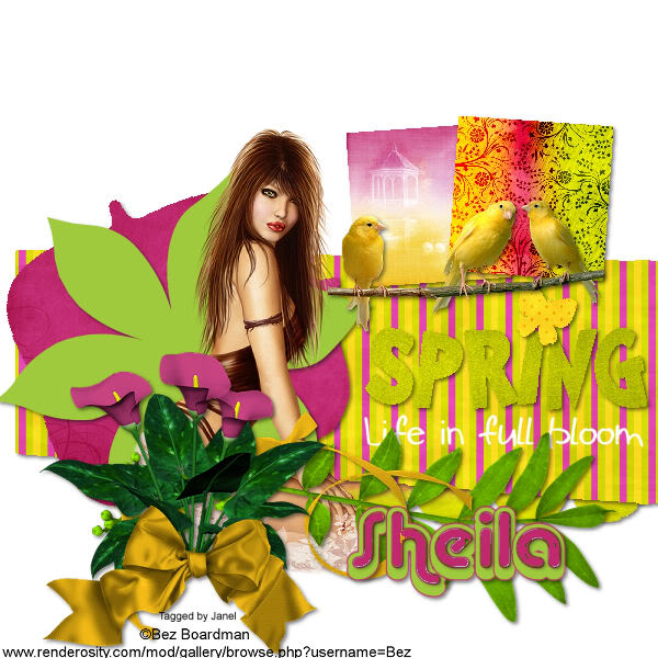 ♥Scrap/Template Challenge ♥ March 14th~March 20th♥ Sheila1