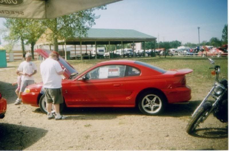 why did you buy your mustang???????? Theday