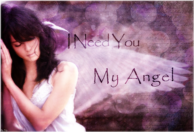 La tête dans la toilette 8DDD 5-Ange-INeedYouMyAngel