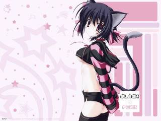 Neko-Neko chan Konachan_com_-_42482_black_x_pink_c