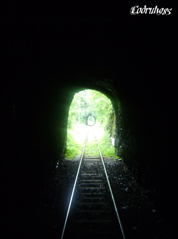 Tunelurile din Romania - Pagina 2 DSC02958