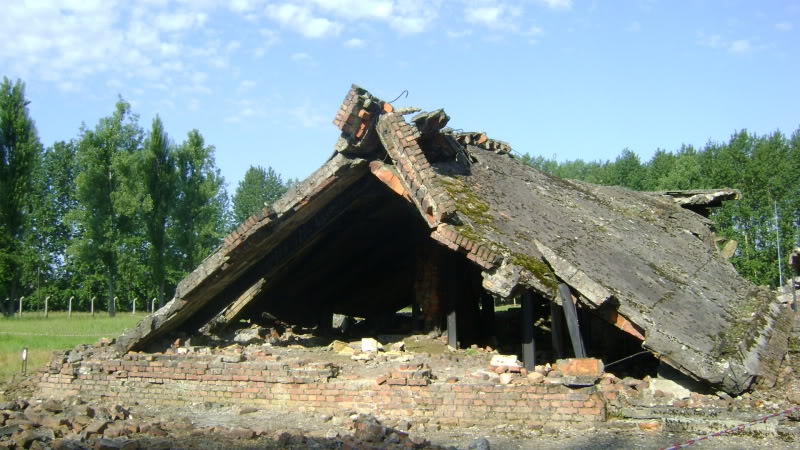 POLONIA - Circuit cu Muzeul Auschwitz (Oswiecim) DSC02371