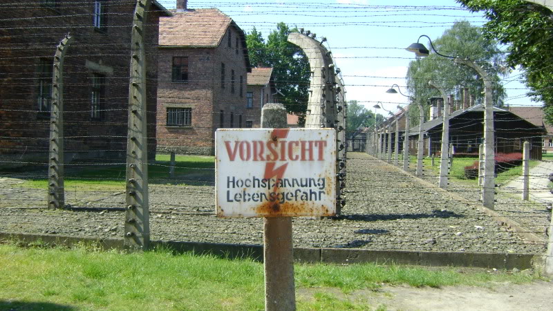 POLONIA - Circuit cu Muzeul Auschwitz (Oswiecim) DSC02398