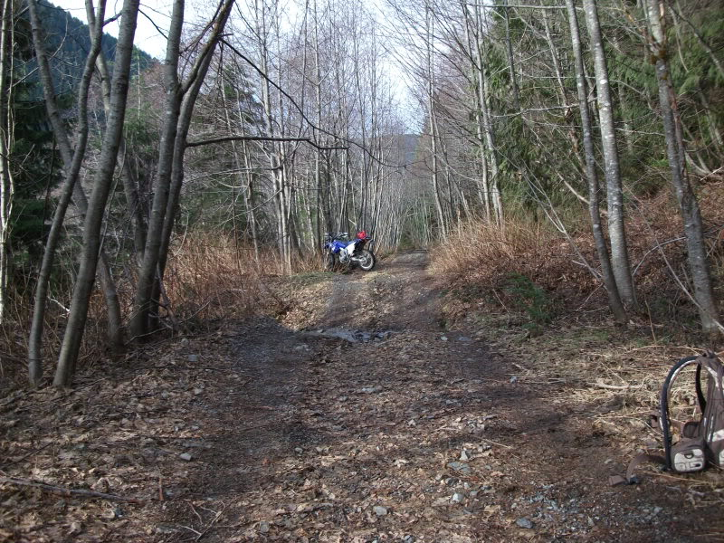 Todays ride Spada Lake DSCF1025