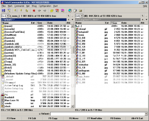 Total Comander 7.04 Total-300x244