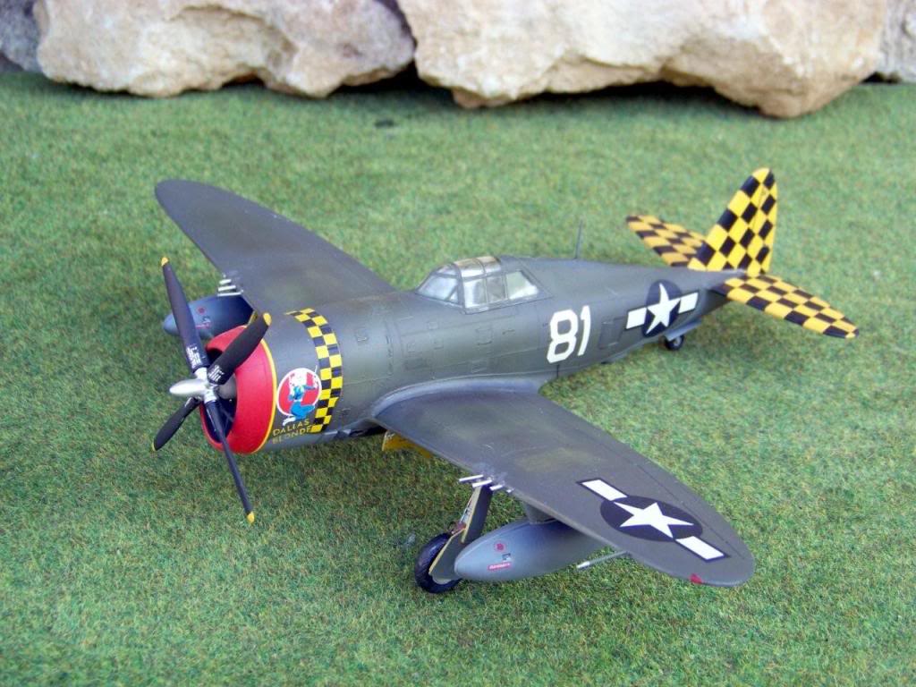 Republic P-47D-10-RE Thunderbolt  100_4424