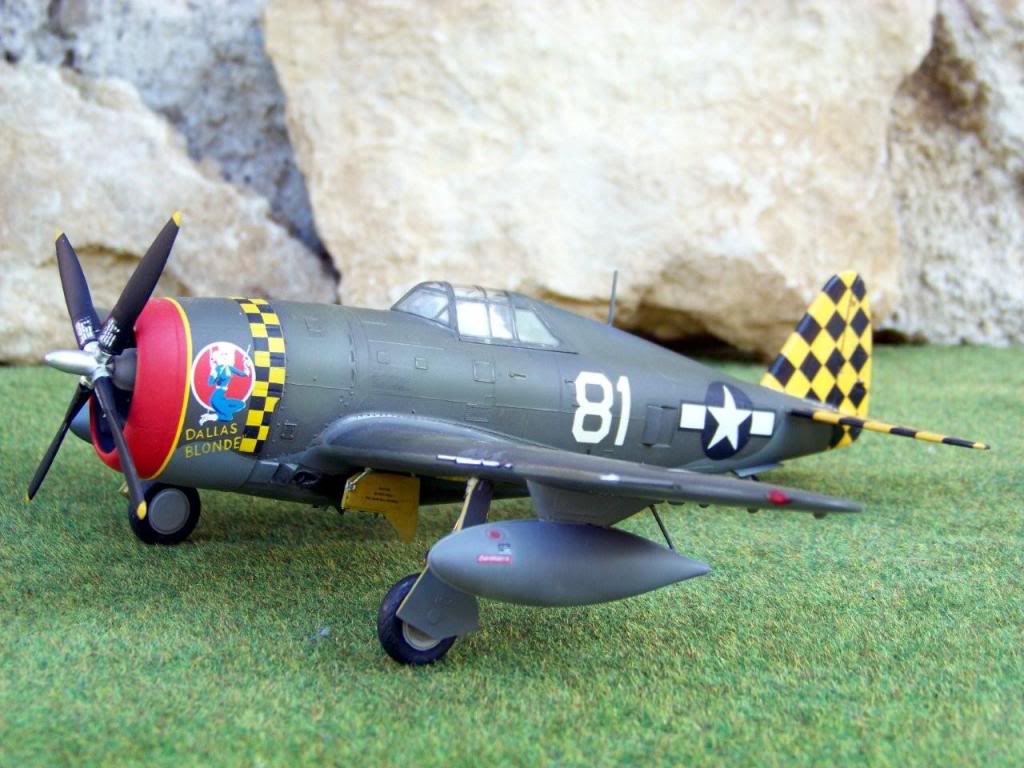 Republic P-47D-10-RE Thunderbolt  100_4425