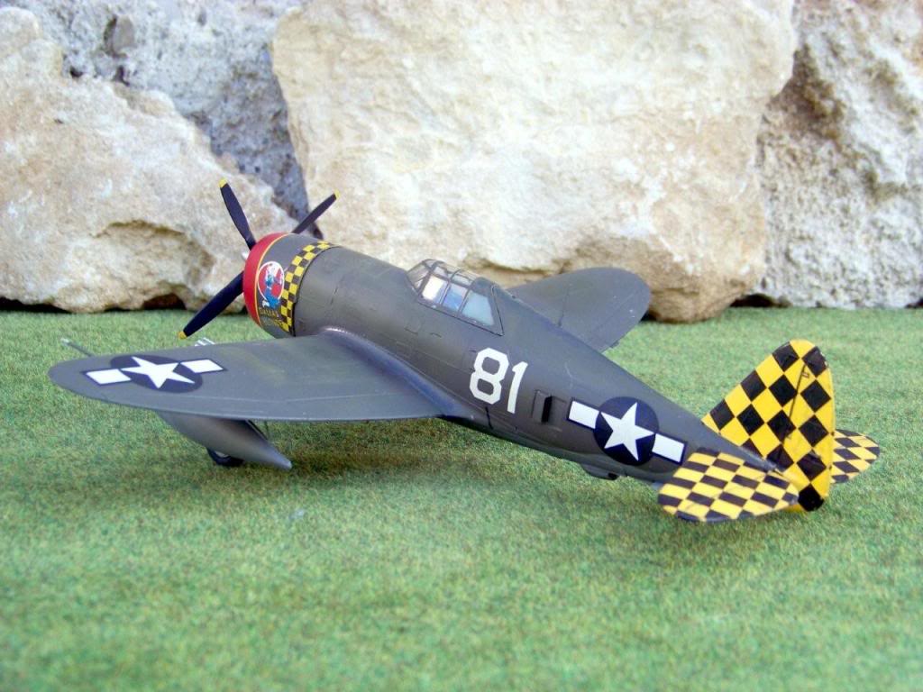 Republic P-47D-10-RE Thunderbolt  100_4426