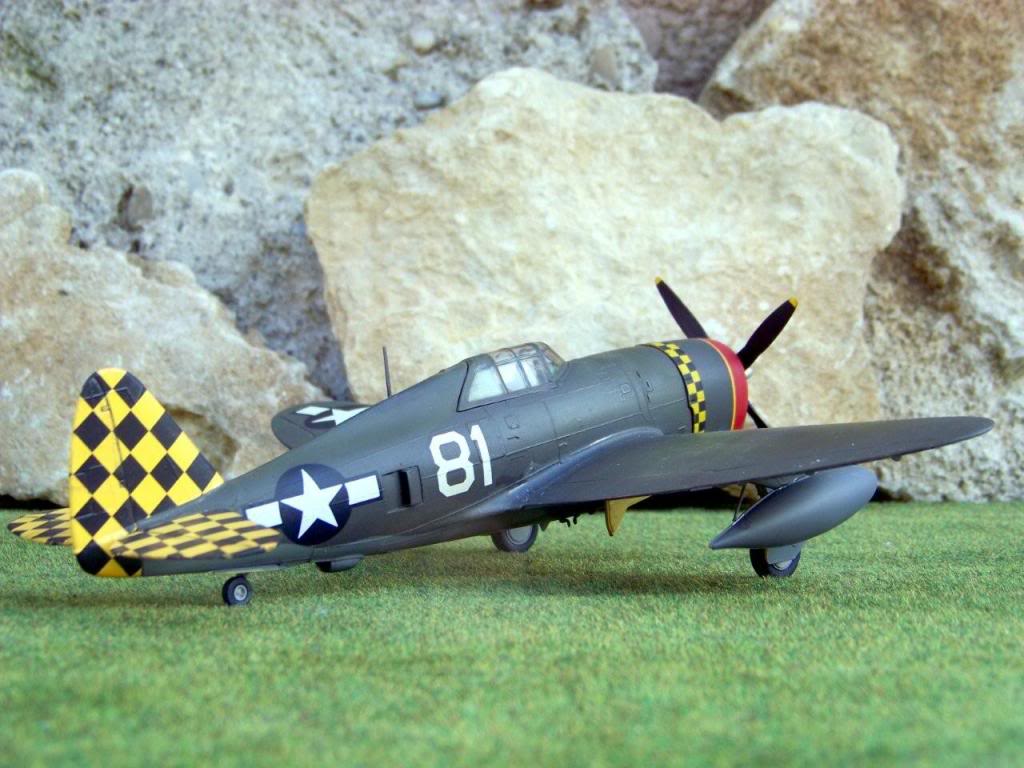 Republic P-47D-10-RE Thunderbolt  100_4427