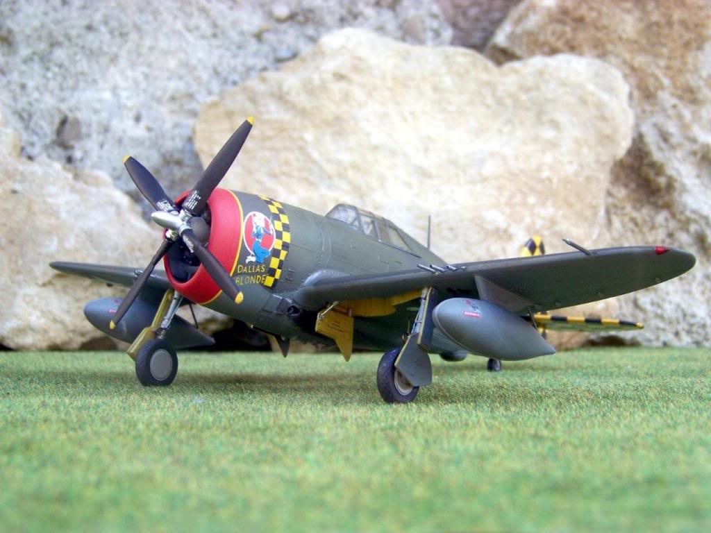 Republic P-47D-10-RE Thunderbolt  100_4429