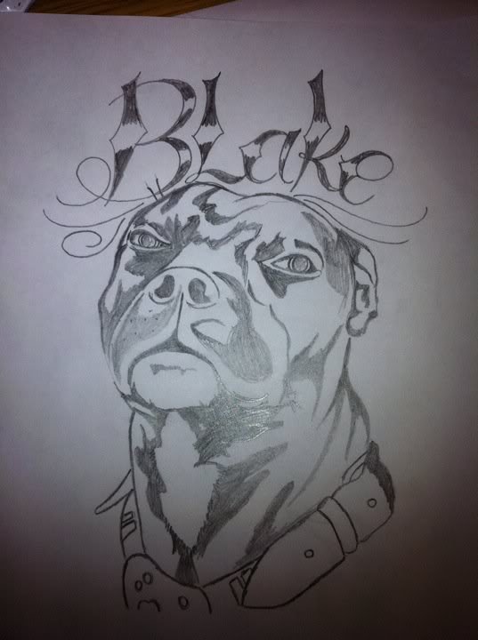 a drawing of my dog blake 283270_2106458072608_1580241926_32058870_4614912_n