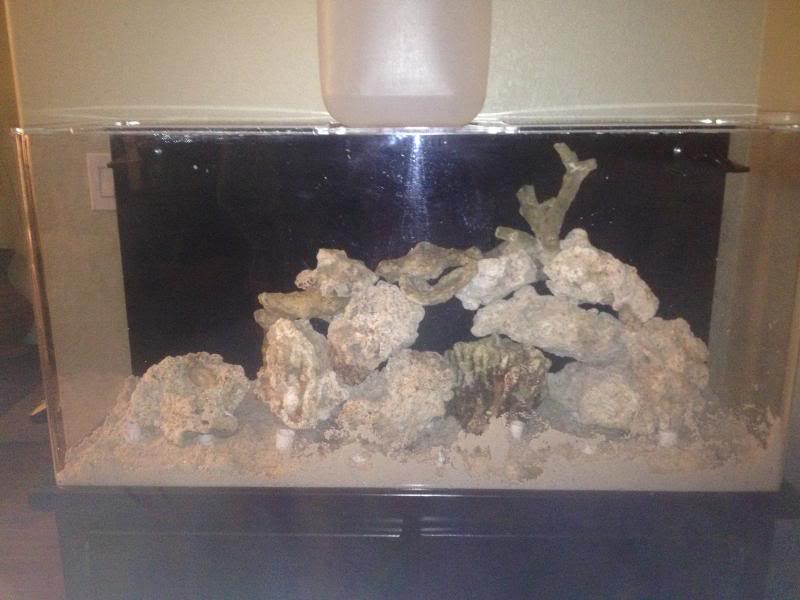 75 Gal Tank Build FishTank043