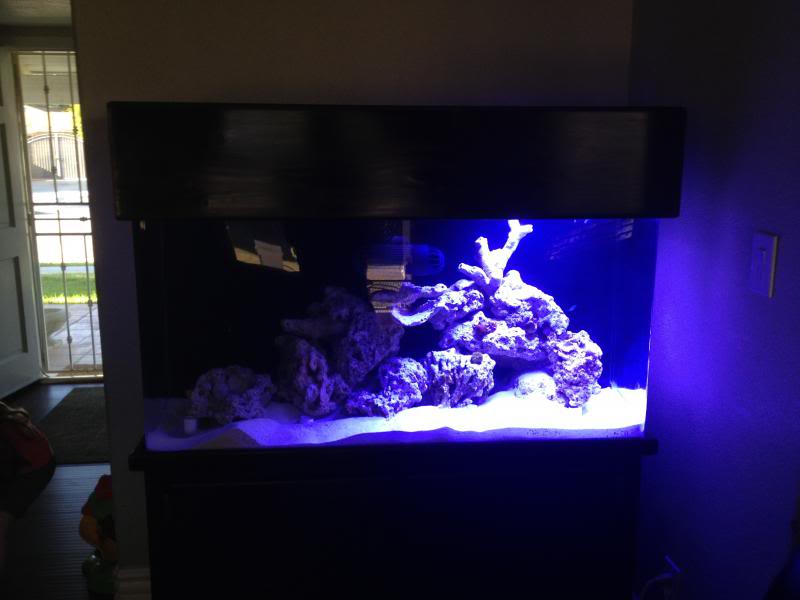 75 Gal Tank Build FishTank053