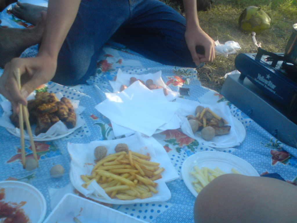 Picnic I DSC00582