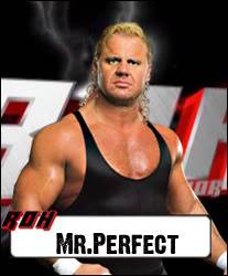 Logros De Shawn Michaels | Sting | Mr Perfect Perfect