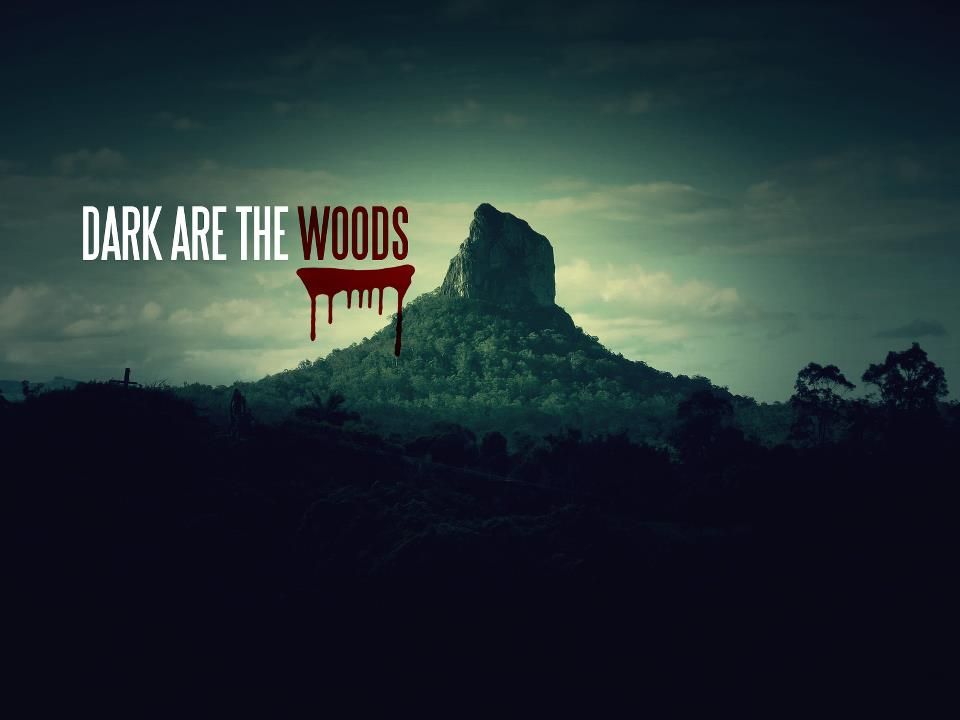 Dark are the Woods (2012) 227523_416924981713218_990536499_n