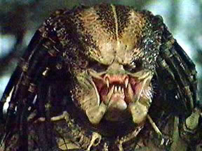 Duelo de Monstruos, Demonios y Fantasmas: Round Cuatro. Predator2