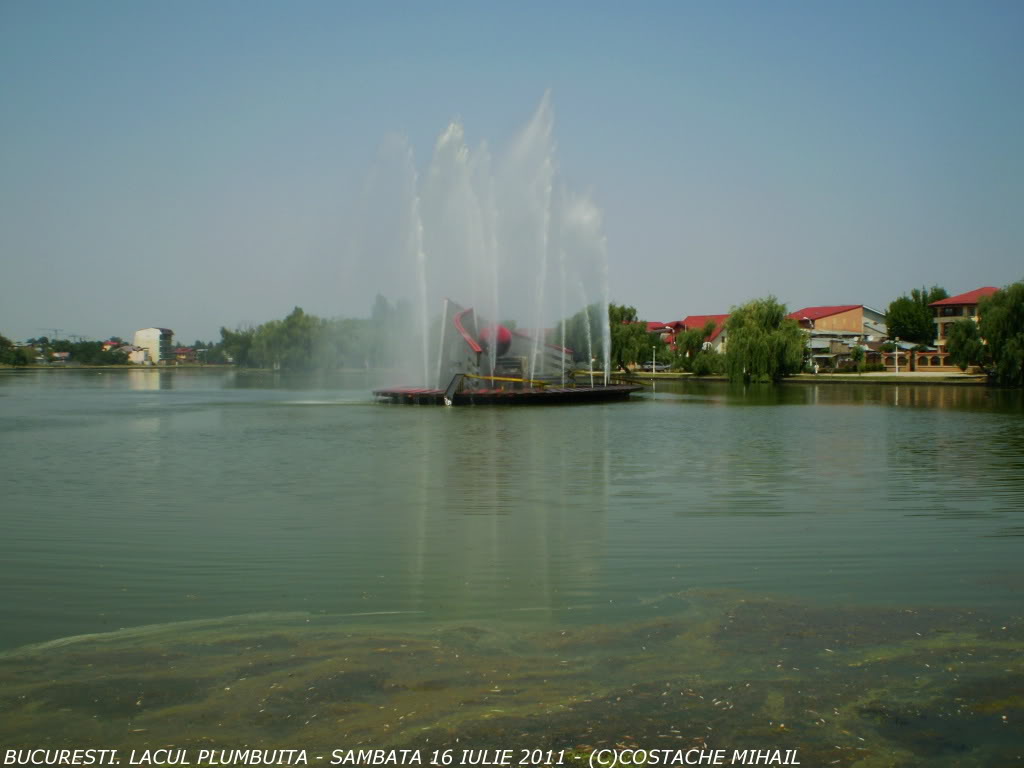 LACUL PLUMBUITA P1010045