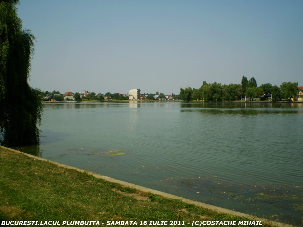 LACUL PLUMBUITA P1010047-1