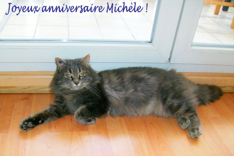 Le fil des anniversaires...(suite 1) - Page 29 Annivmichegravele2