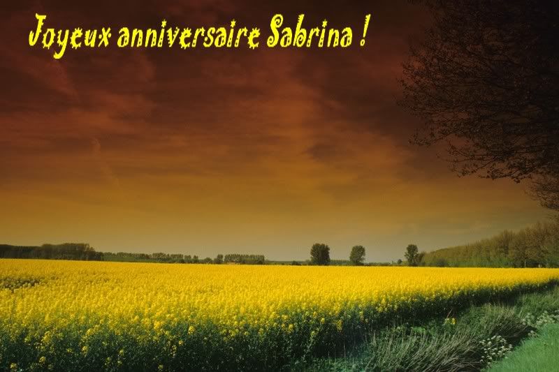 Le fil des anniversaires...(suite 1) - Page 22 Anniv