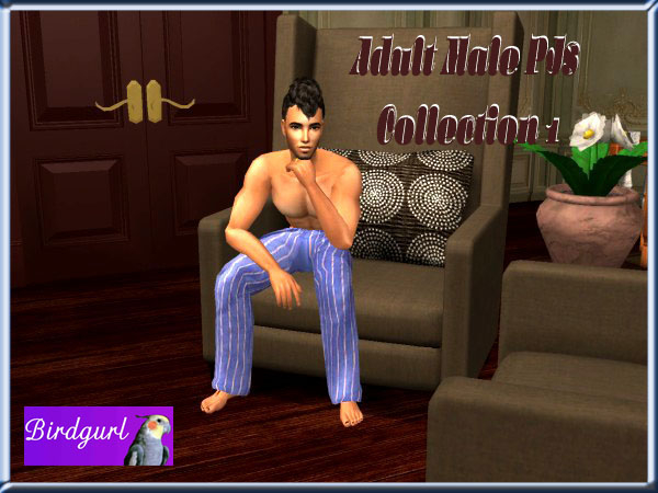 Birdgurl's Sims 2 Creations [Feb. 2013] AdultMalePJsCollection1banner_zps53702ec3