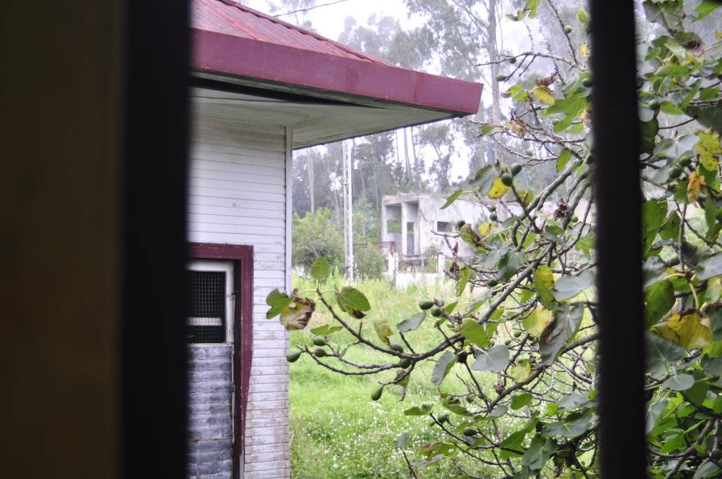 EL SANATORIO DURÁN, CARTAGO costa rica _DSC0434