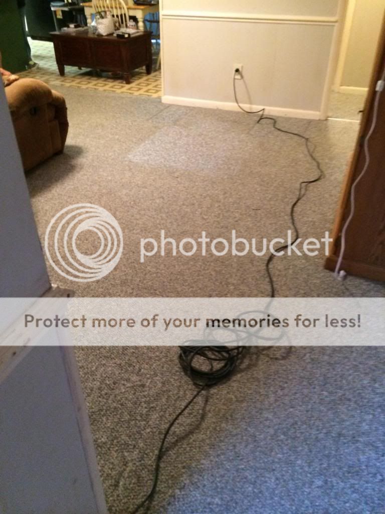 The Best of Trashed Carpet - Page 3 Image_zps2cf9e4fc