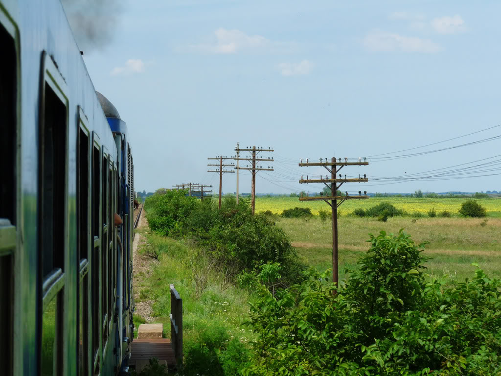 402 : Oradea - Carei - Satu Mare - Halmeu P1090278