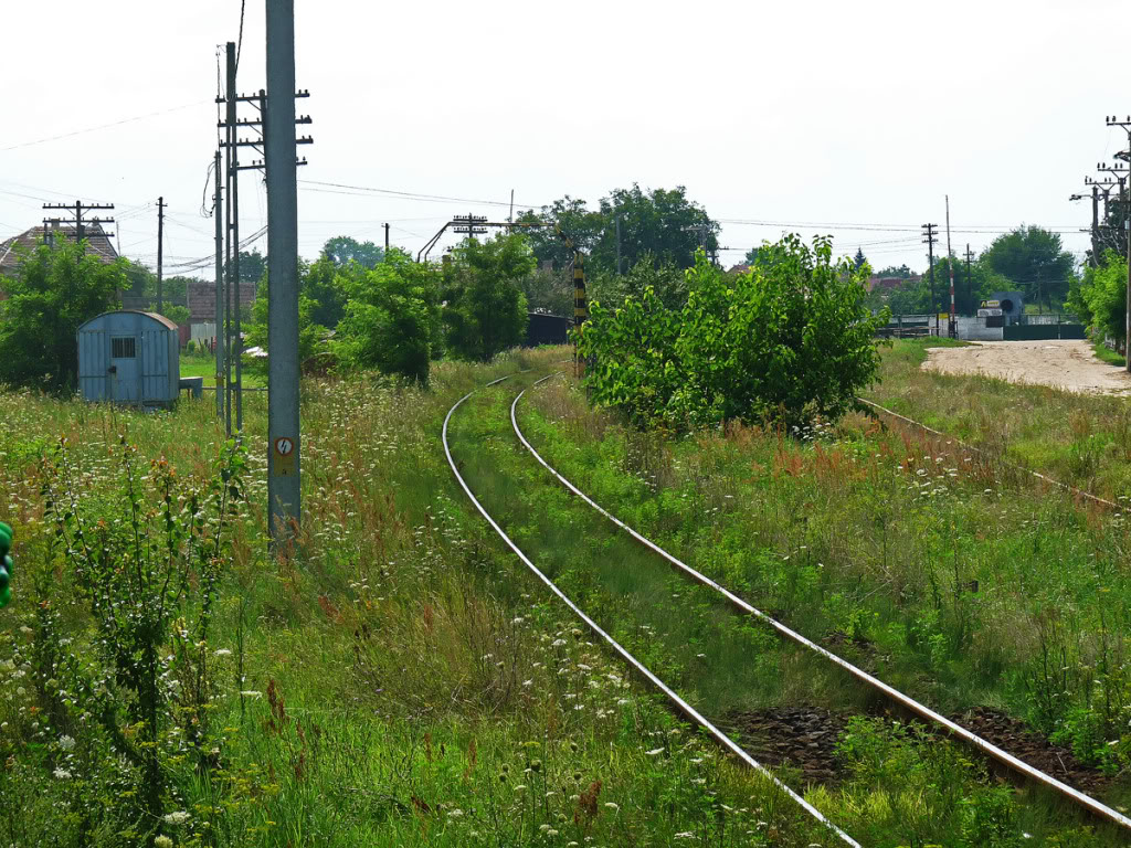 402 : Oradea - Carei - Satu Mare - Halmeu P1090279