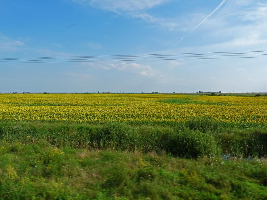 402 : Oradea - Carei - Satu Mare - Halmeu P1090292