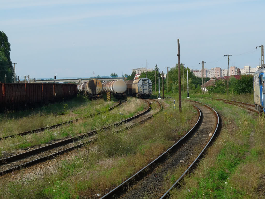 402 : Oradea - Carei - Satu Mare - Halmeu P1090302