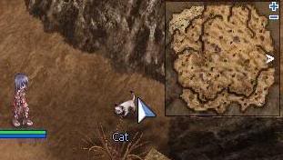 Cat Hand Services 87D20111025171010_screenPicky048
