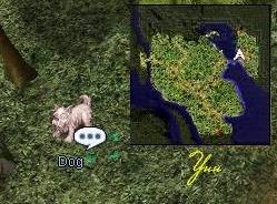 Secret in the Woods Screen083_zpse1bd9f29