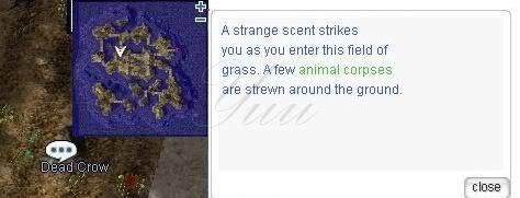 Nameless Island Entrance Quest ScreenGaia370